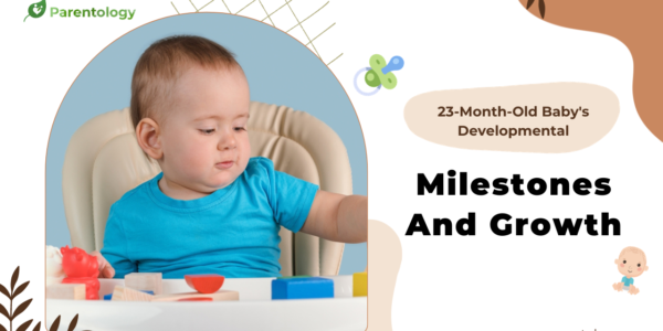 Toddlers developmental milestones
