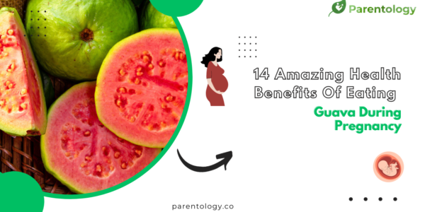guava in pregnancy
