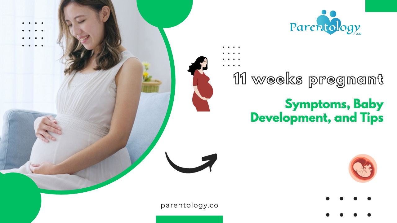 11 Weeks Pregnant: Symptoms and Baby Development