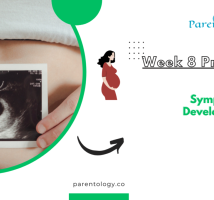 week 8 pregnancy